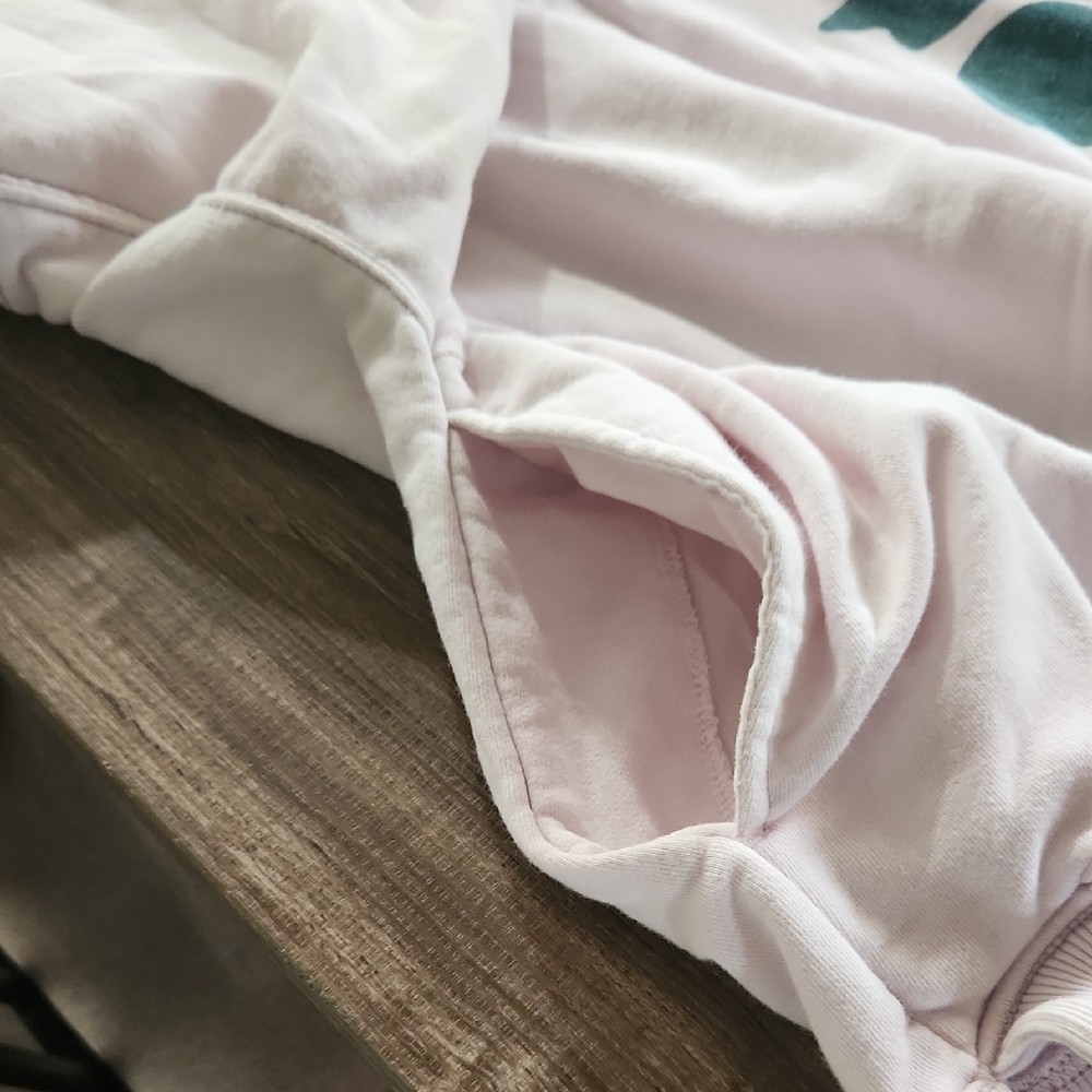 Free People Pale Pink Pullover with Teal Botanical Motif - Picture 3 of 9